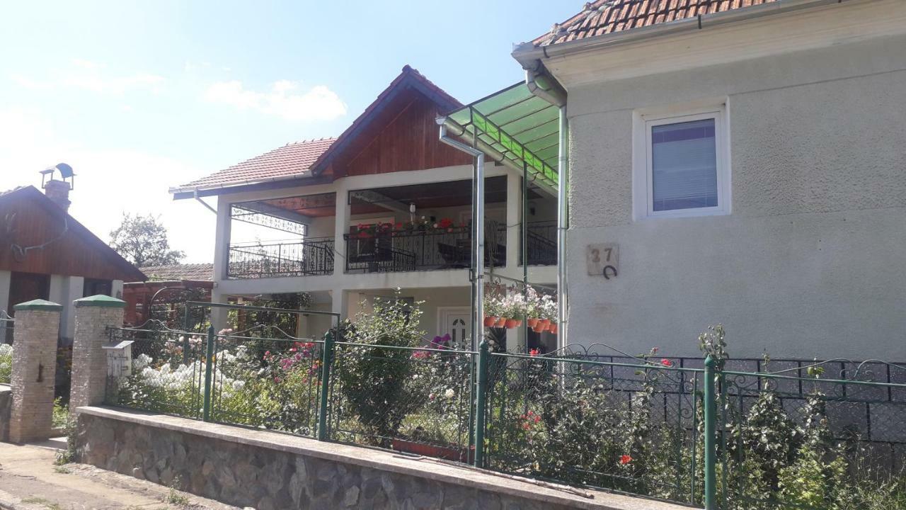 Casa Maria Retezat Guest House Nucsoara  Eksteriør bilde